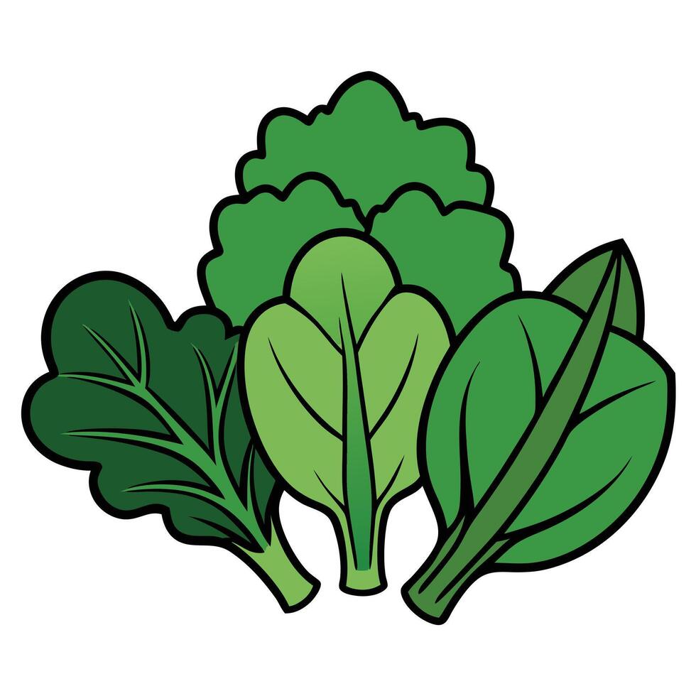 A group of green vegetables on a white background vector