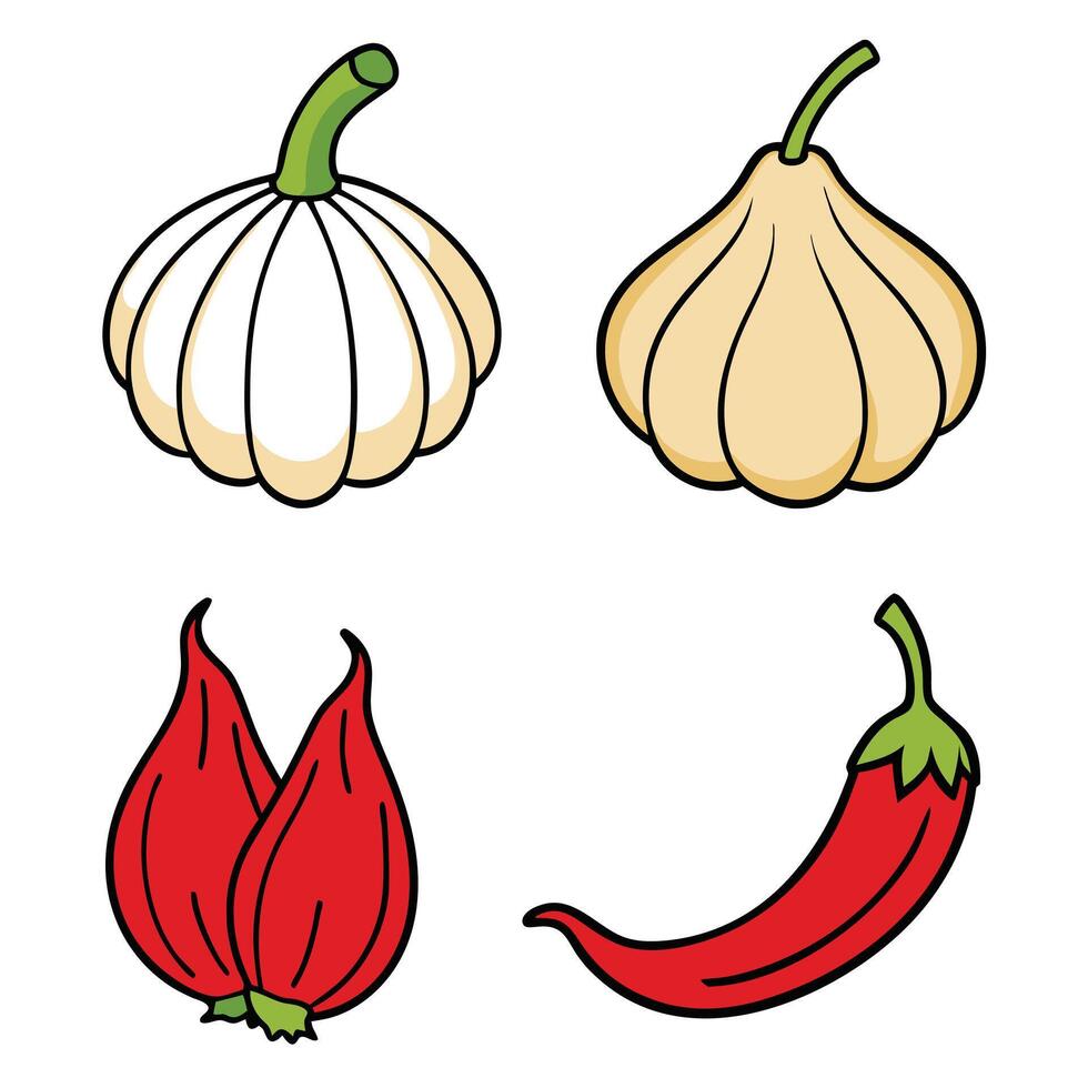 Various types of garlic and chili peppers vector