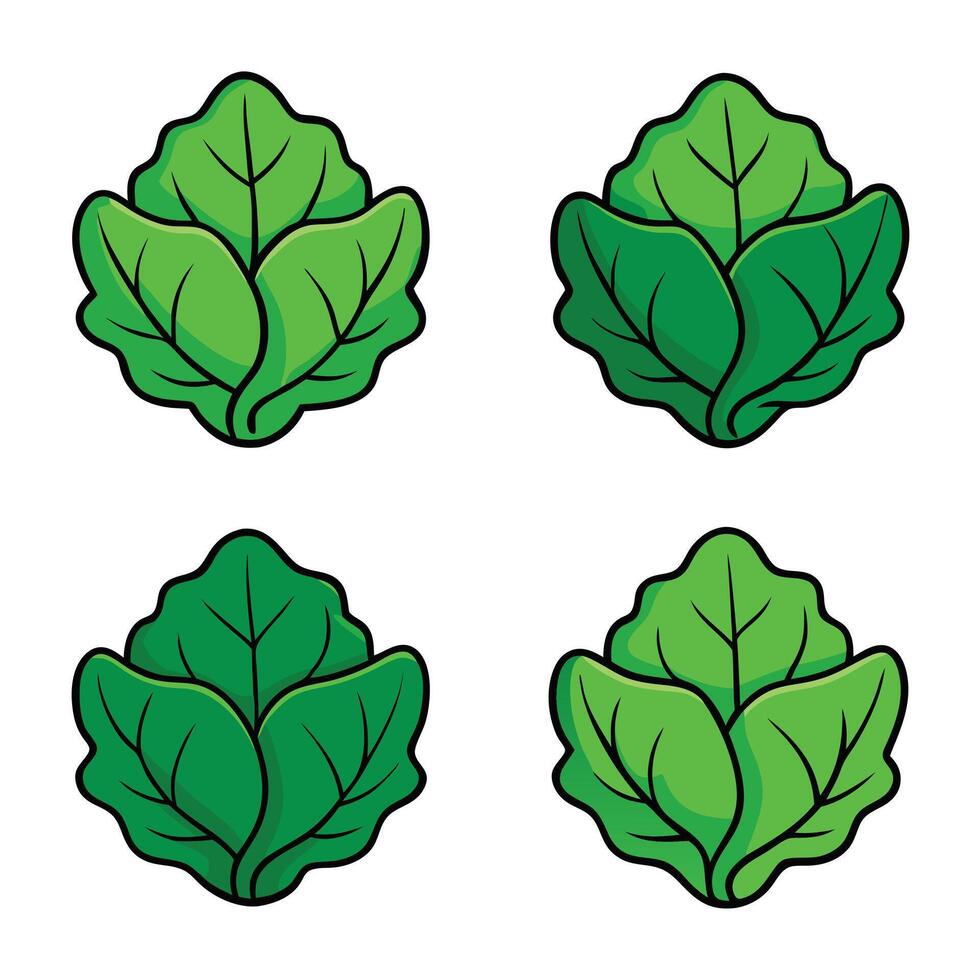 Four different types of green leafy vegetables vector