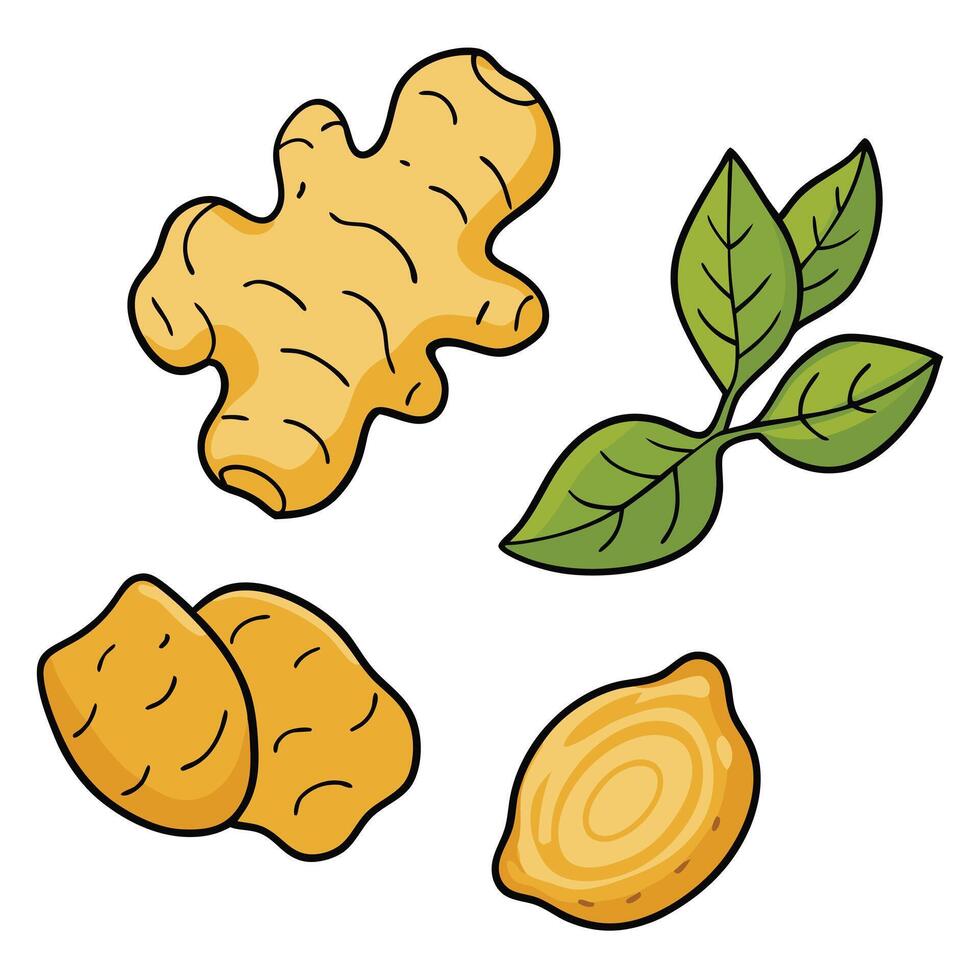 Ginger, ginger, and lemon on a white background vector