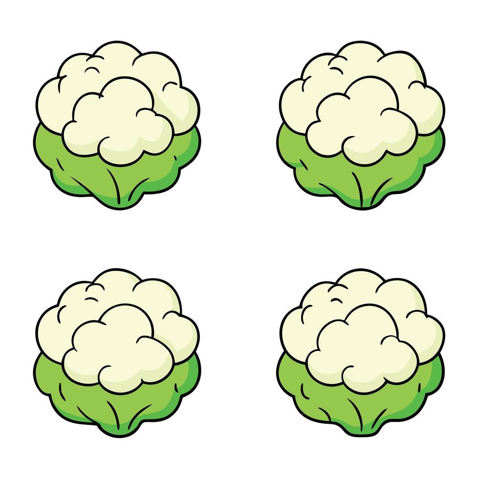 Cauliflower icon set vector