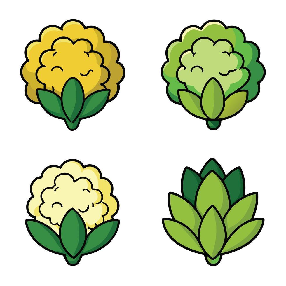 Cauliflower icon set illustration vector