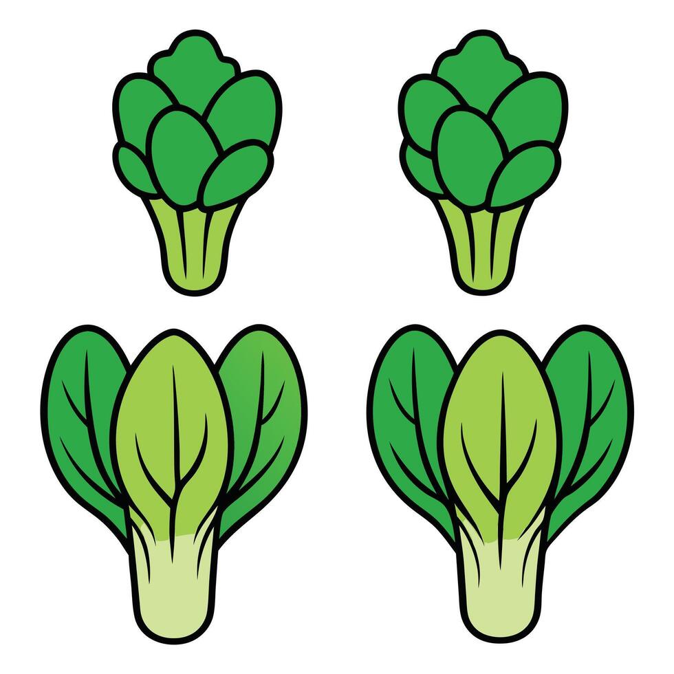 A set of four different types of green vegetables vector