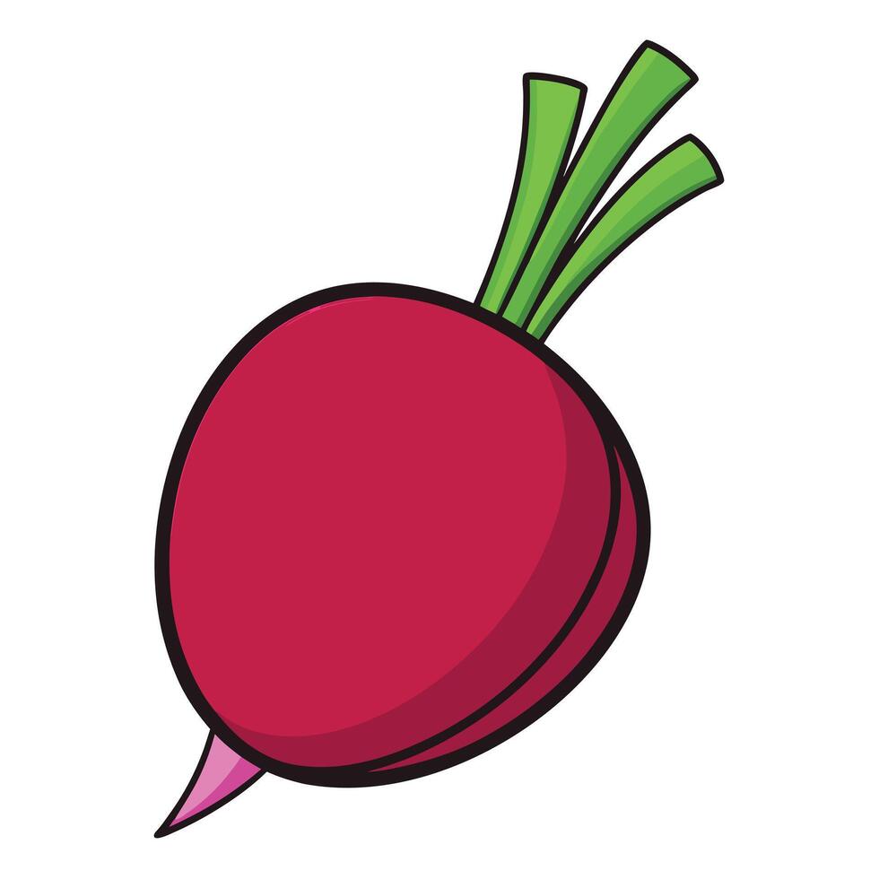 A red beet on a white background vector