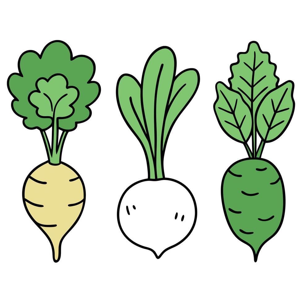 Three different vegetables with different colors vector