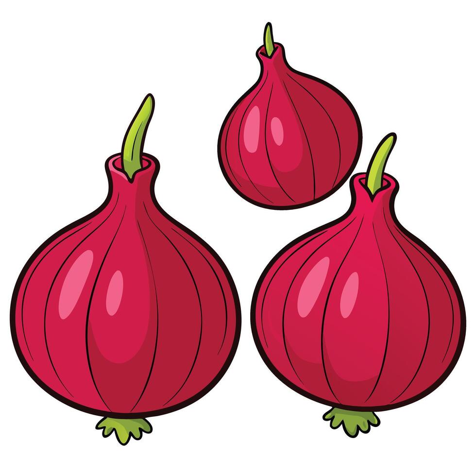 Red onion illustration vector