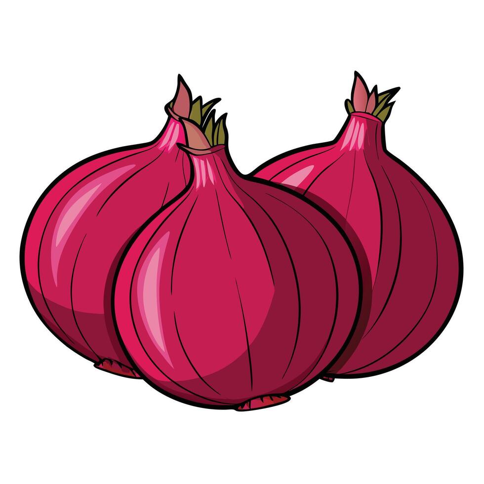 Three red onions on a white background vector