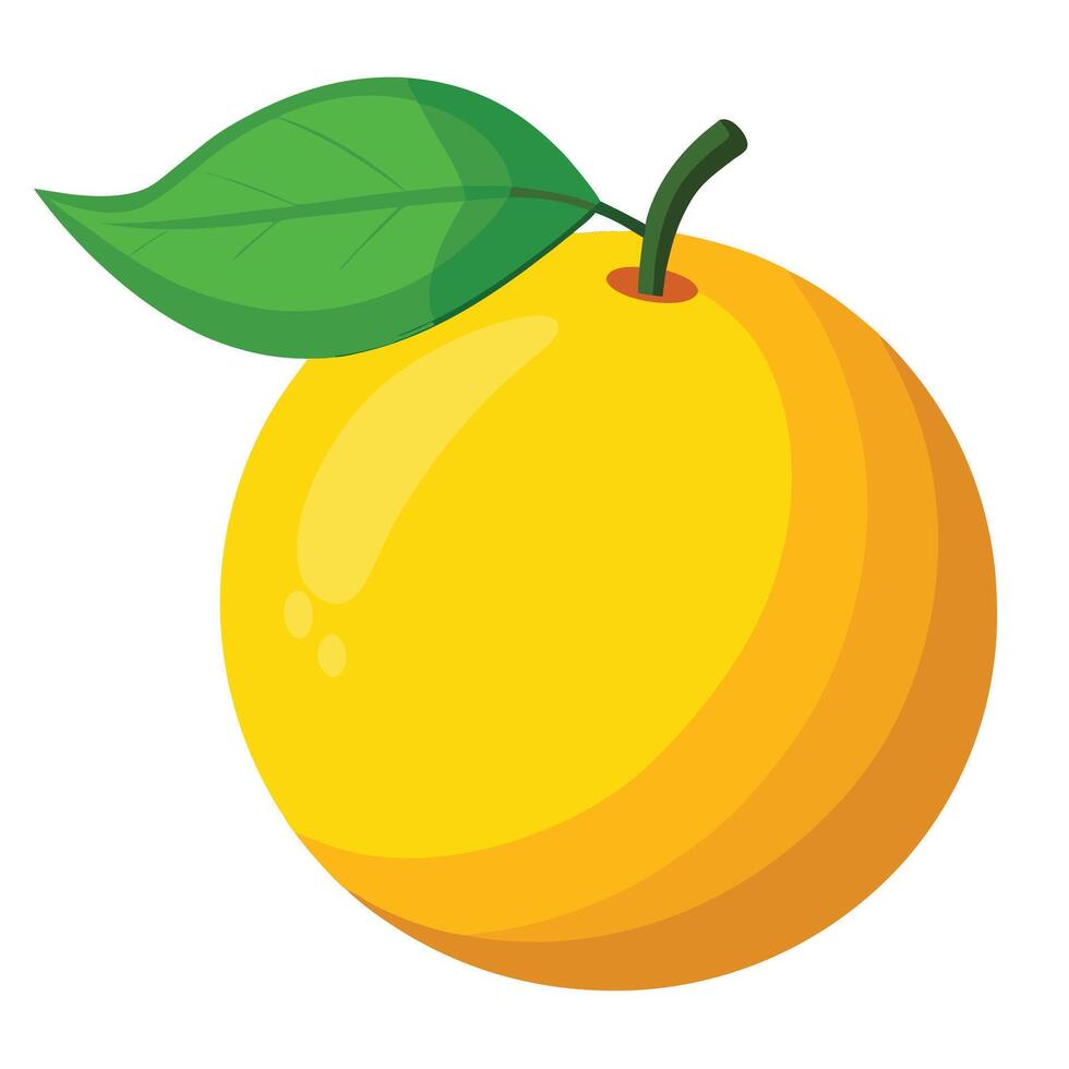 An orange with a leaf on it is shown vector