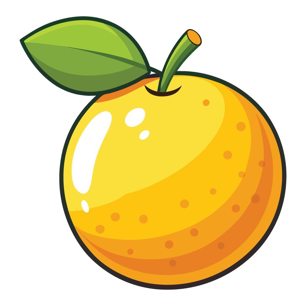 Orange fruit illustration vector