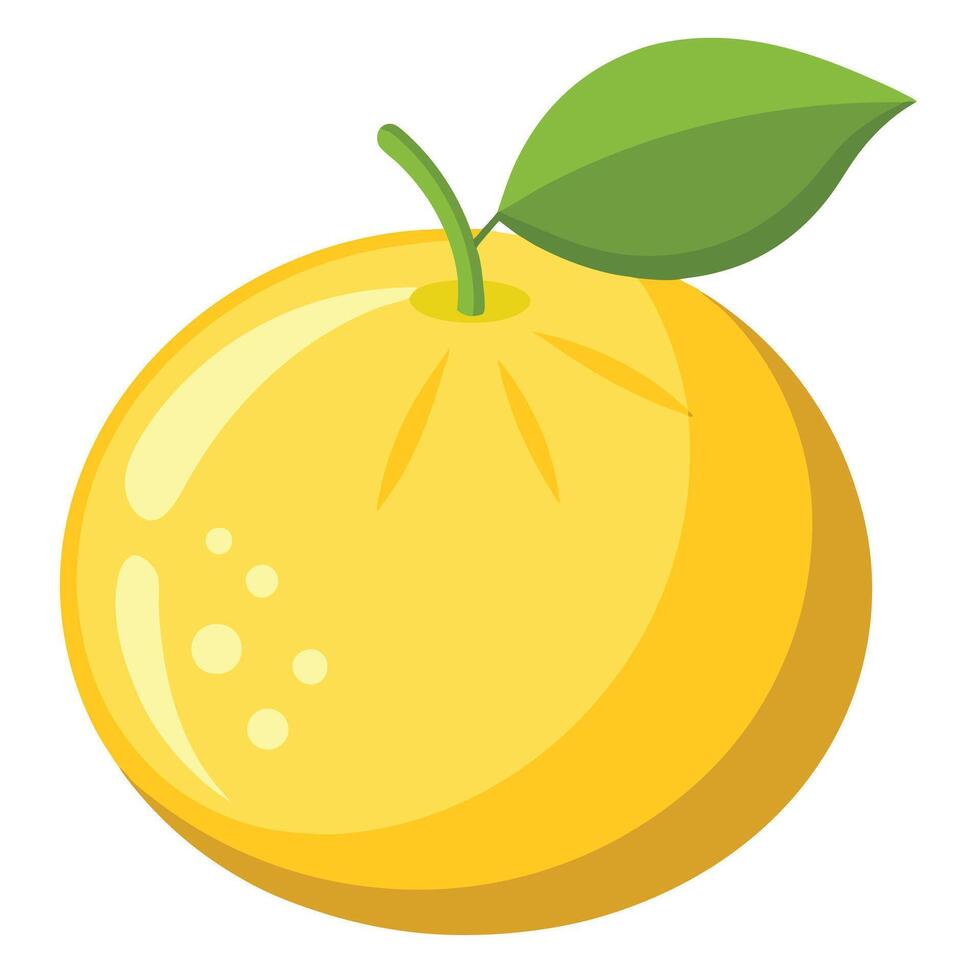 An orange with a leaf on it vector