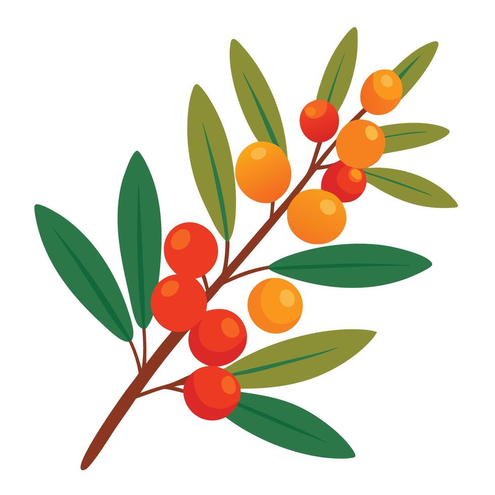 A branch with berries and leaves on it vector