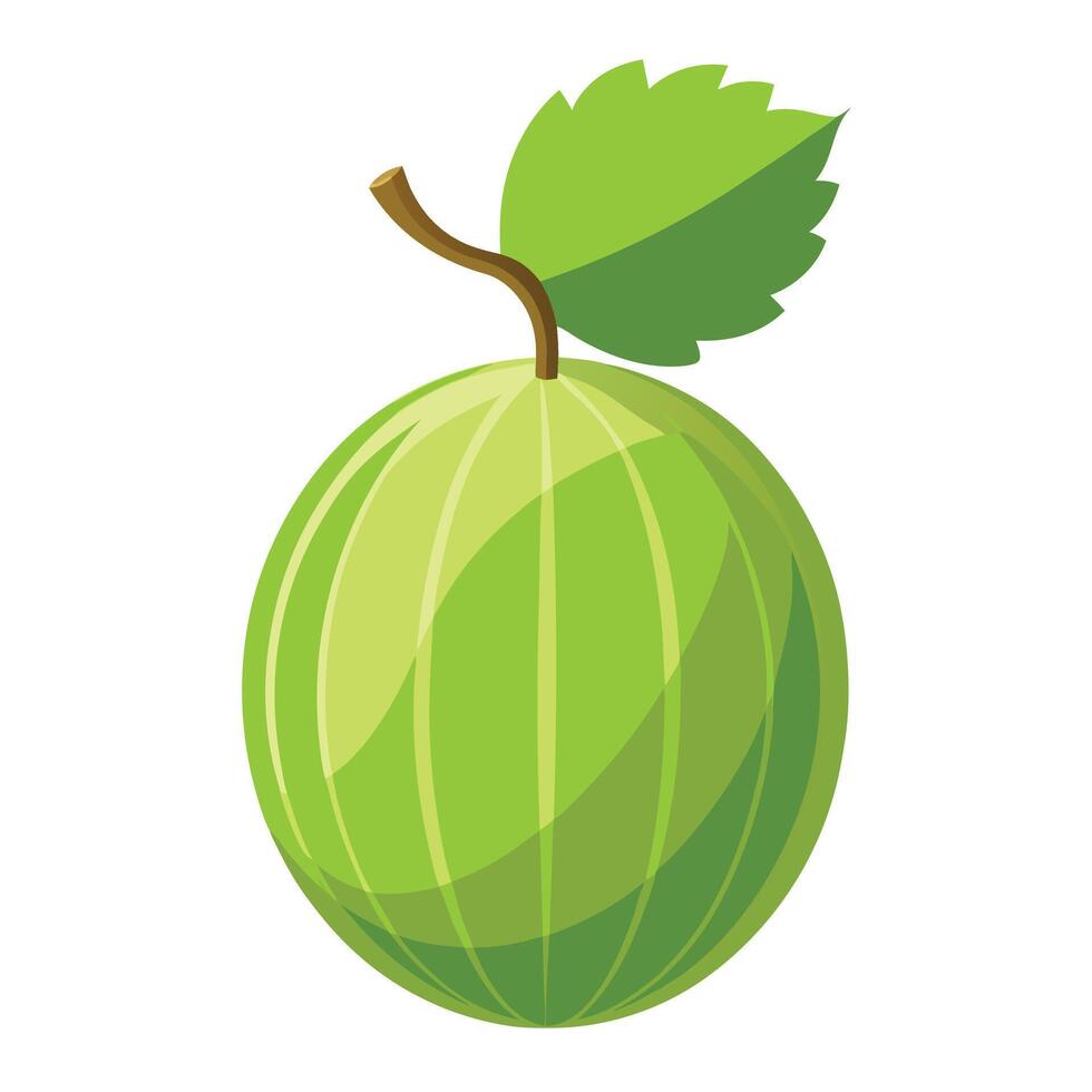Green apple with leaf on white background vector