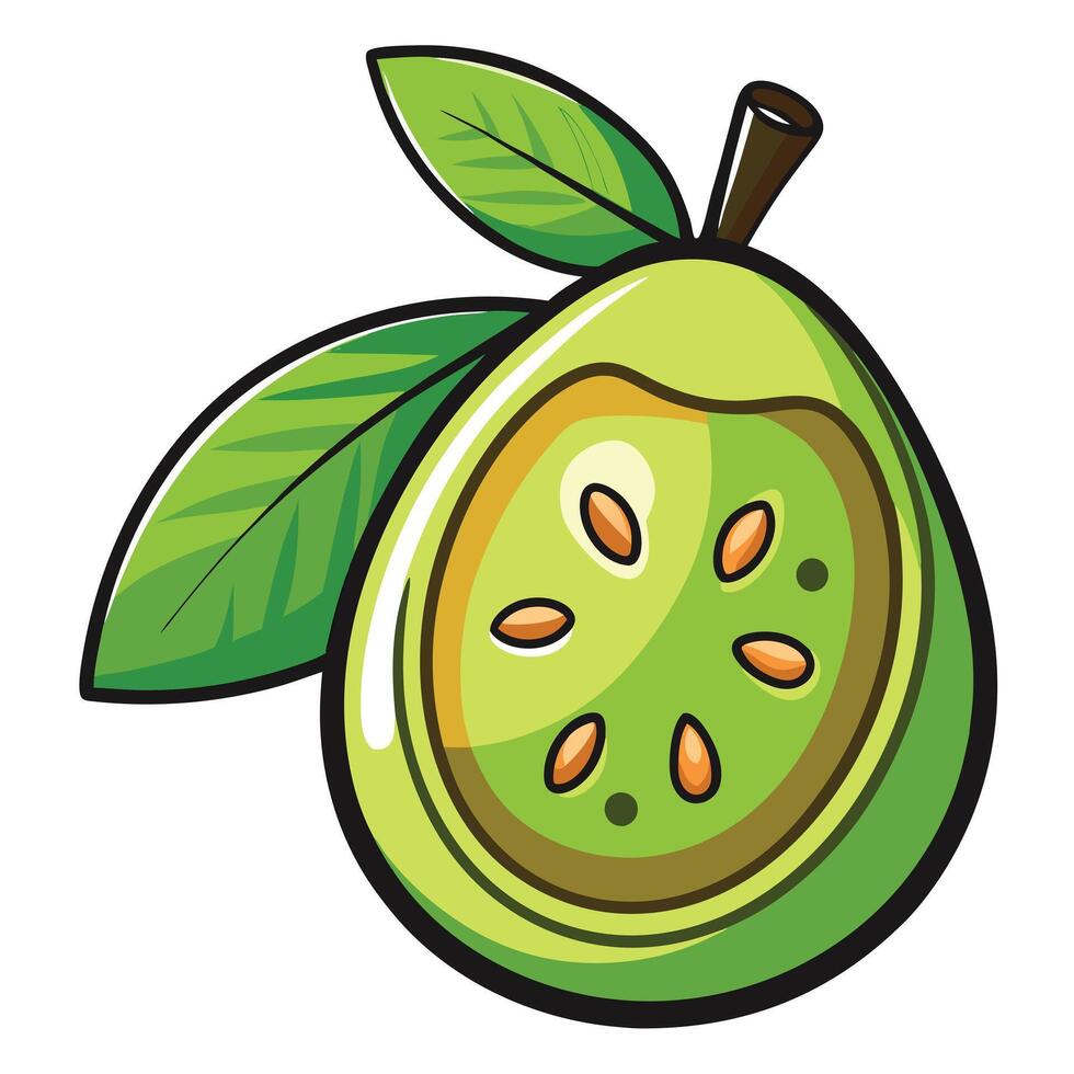 A green fruit with leaves and seeds vector