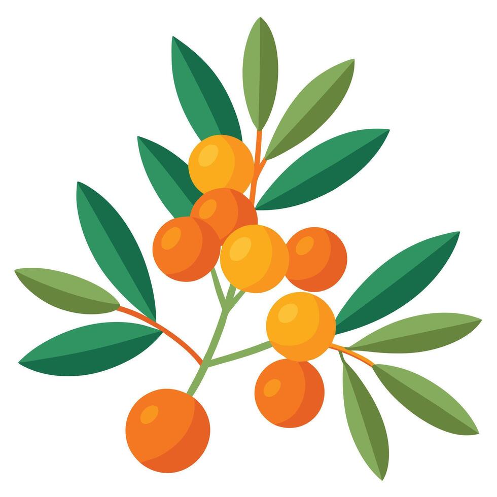 An orange fruit with leaves and leaves vector