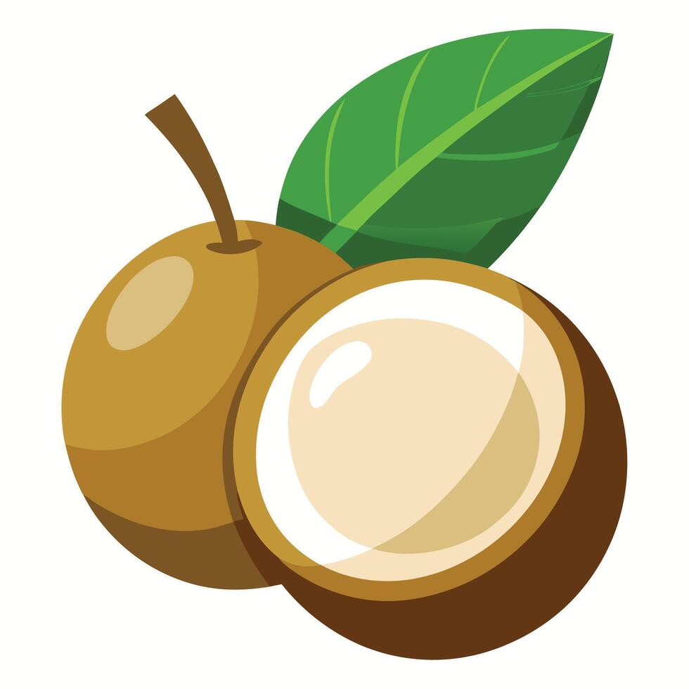 Coconut fruit with green leaf illustration vector