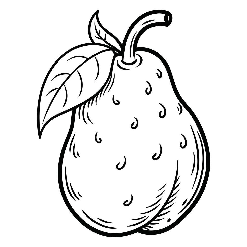 A pear with leaves and leaves coloring page vector