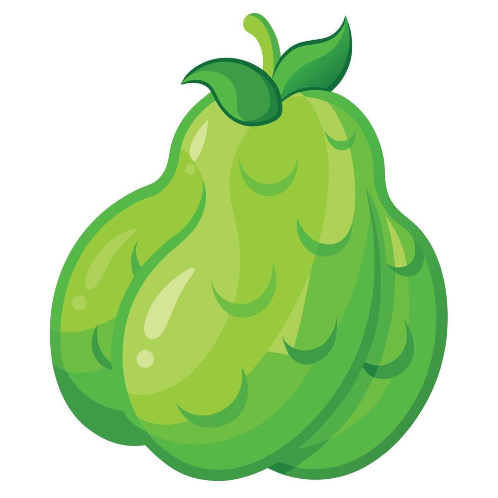 A green fruit with leaves on it vector