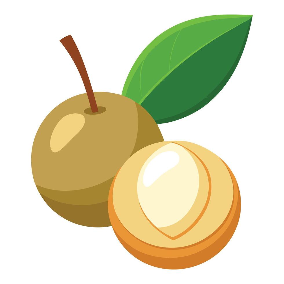 An apple and a nut are shown on a white background vector