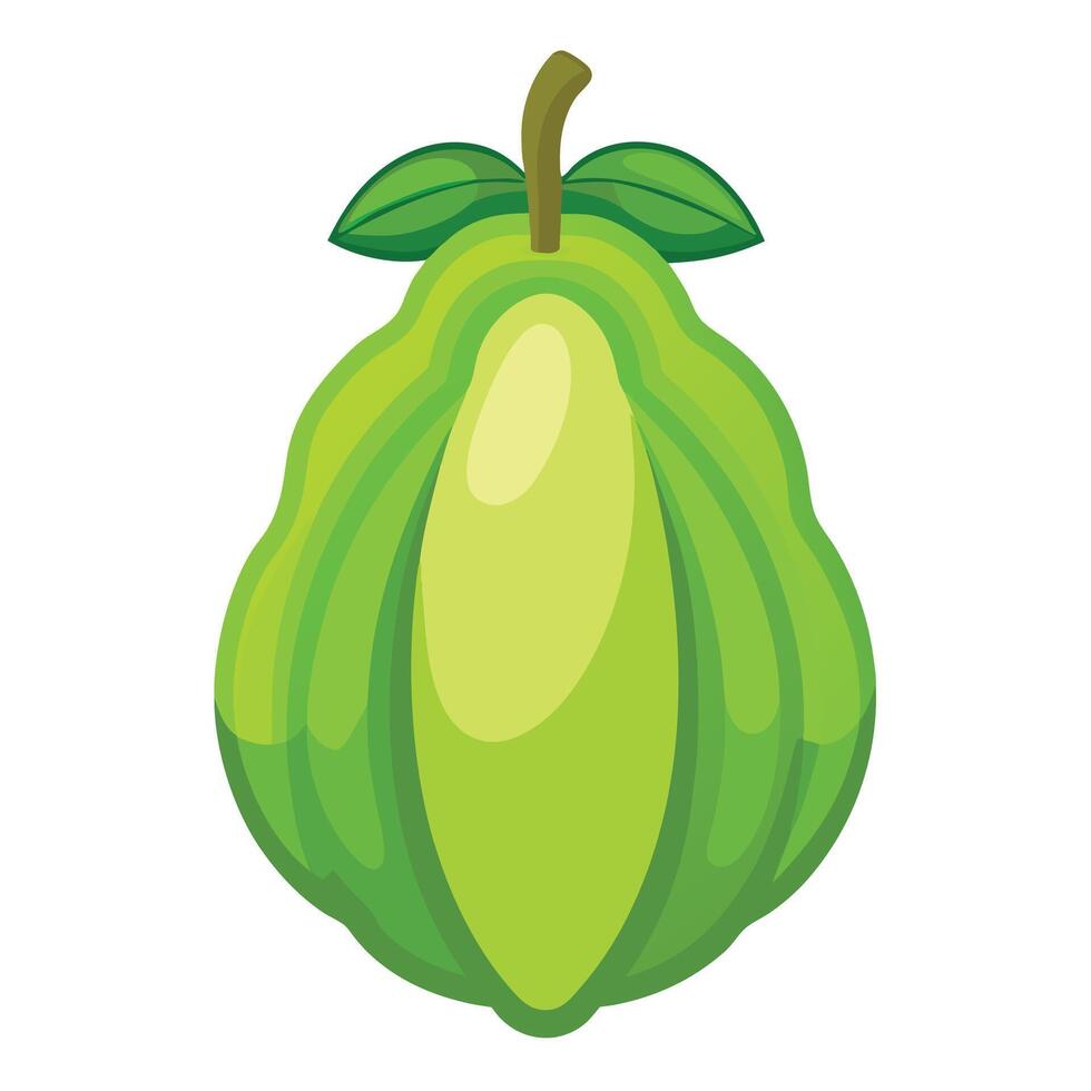 Cocoa fruit illustration isolated on white background vector