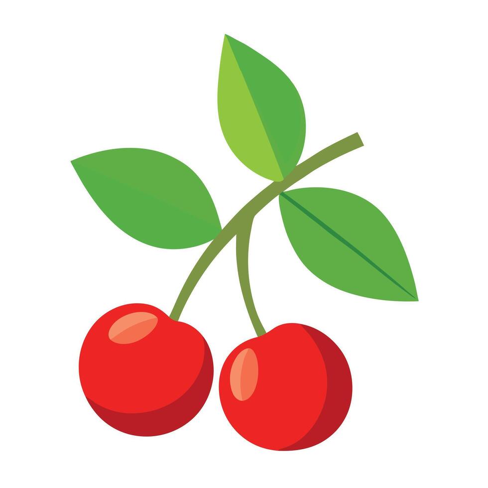 Two cherries on a branch with leaves vector