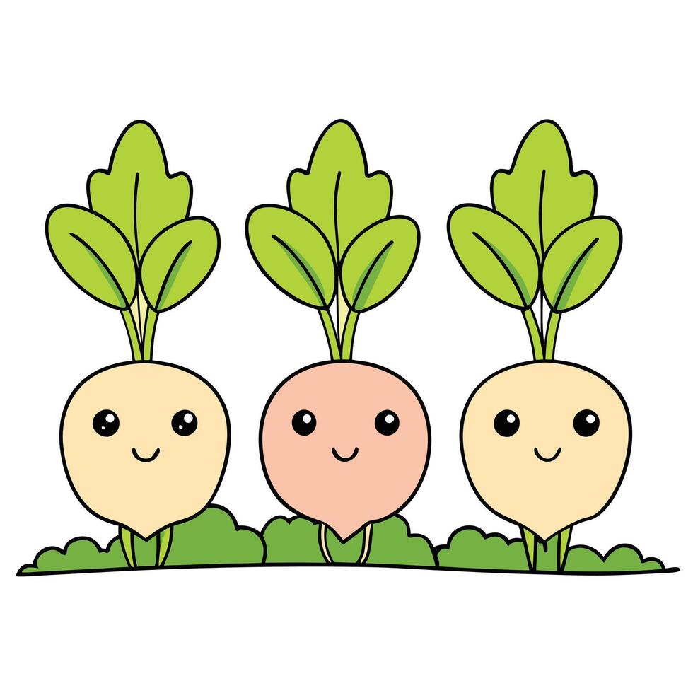 Three cute turnips with green leaves on a white background vector