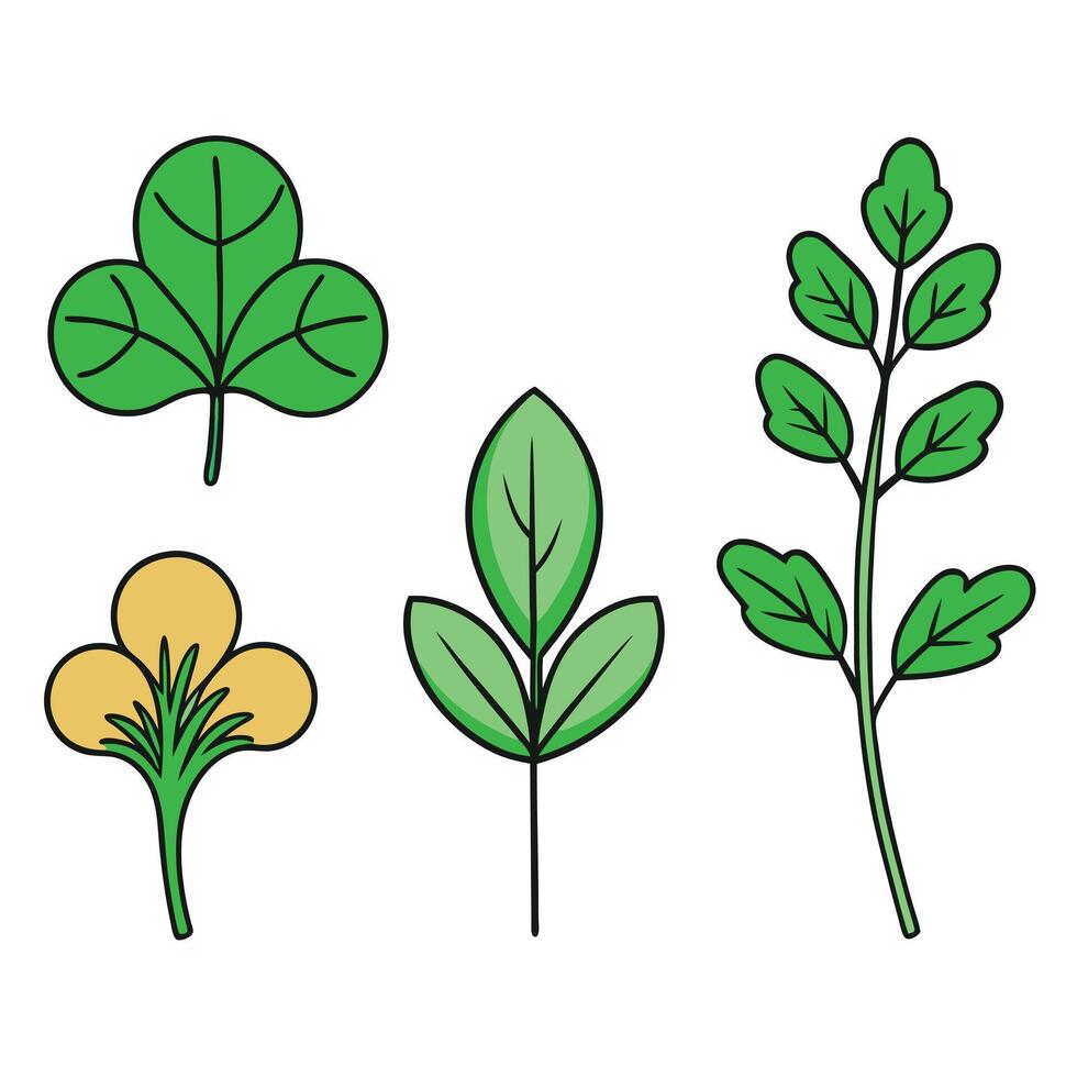 Four different types of leaves and flowers vector