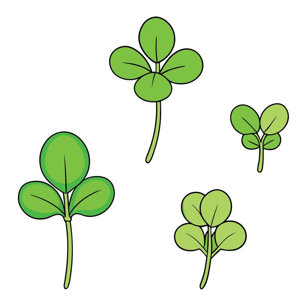 Four leaf clover plant illustration vector