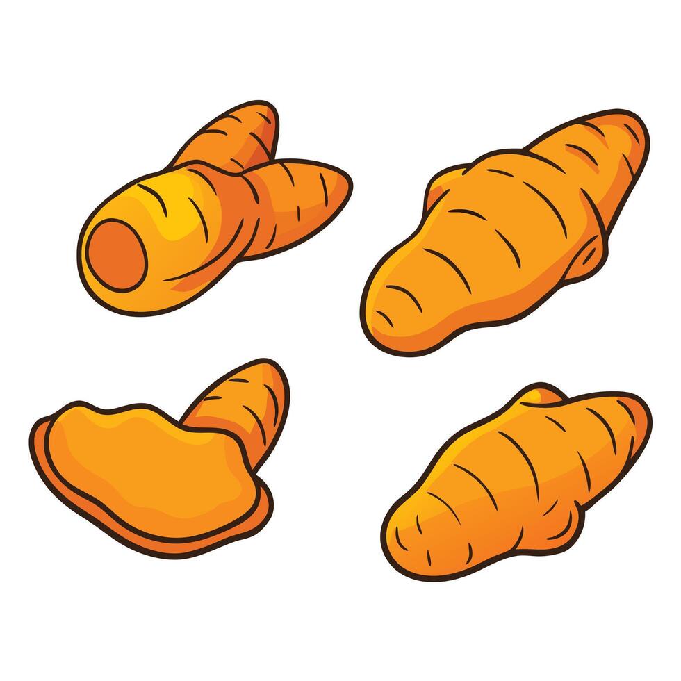 A set of four carrots, one of which is cut in half vector