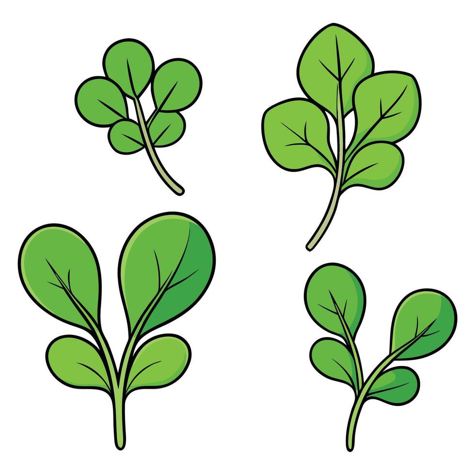 A set of four green leaves on a white background vector