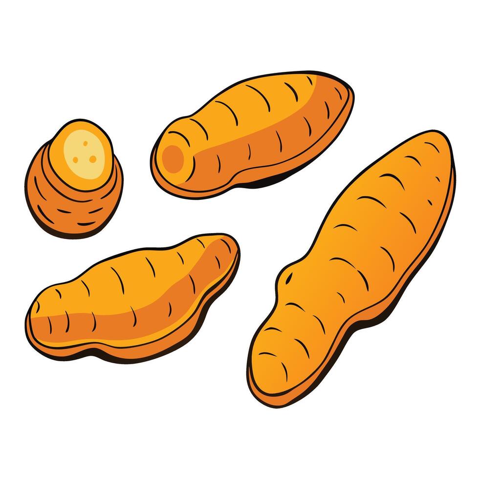 Carrots on white background vector