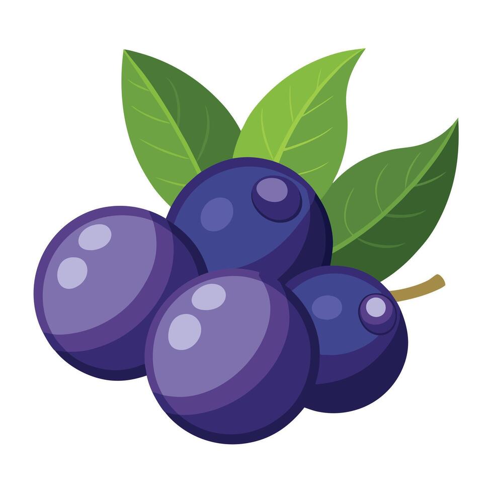 A bunch of purple plums with leaves vector