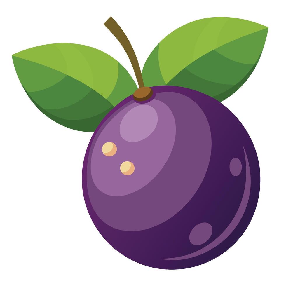 A purple plum fruit with leaves on it vector