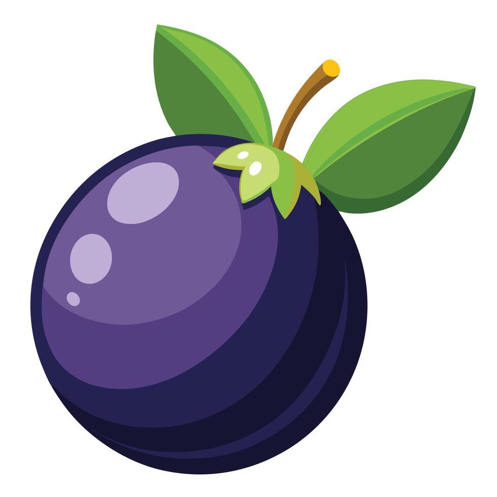 A purple plum fruit with leaves on it vector
