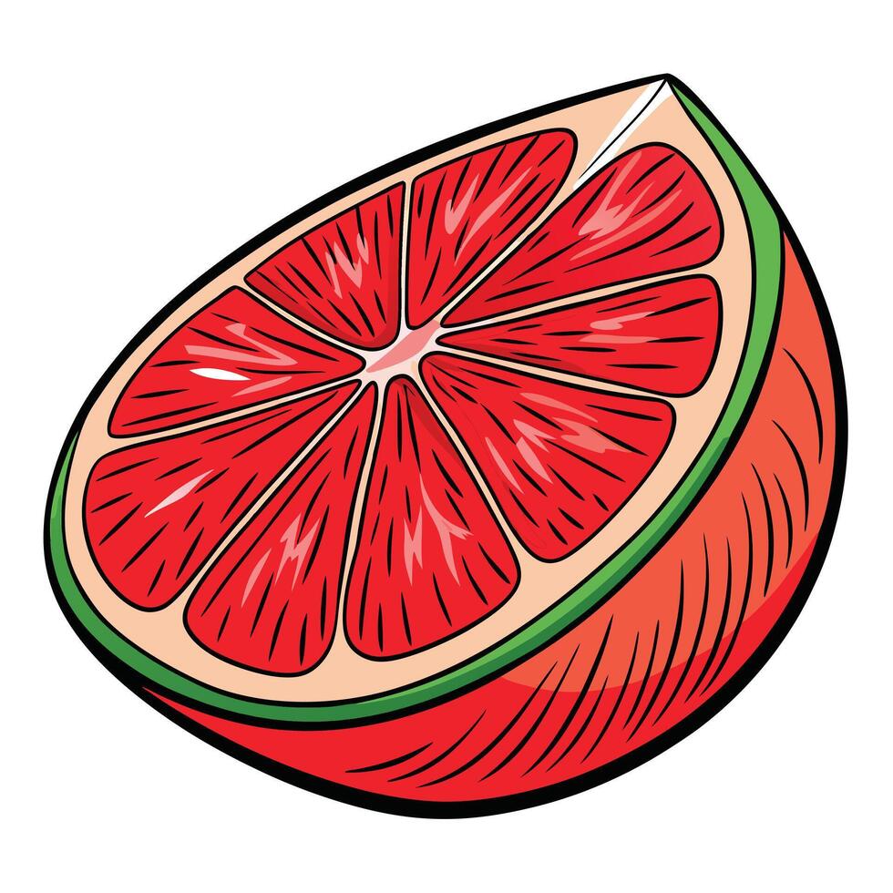 A grapefruit is shown in a cartoon style vector