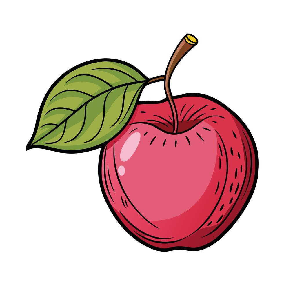 An apple with a leaf on it is shown vector