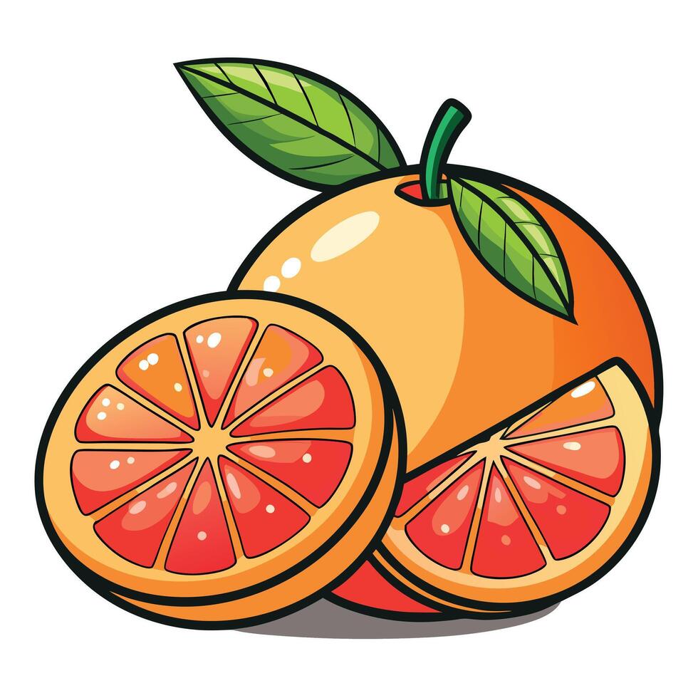 An orange and a half of an orange are shown vector