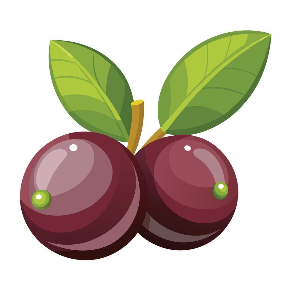 Two ripe cherries with leaves on a white background vector