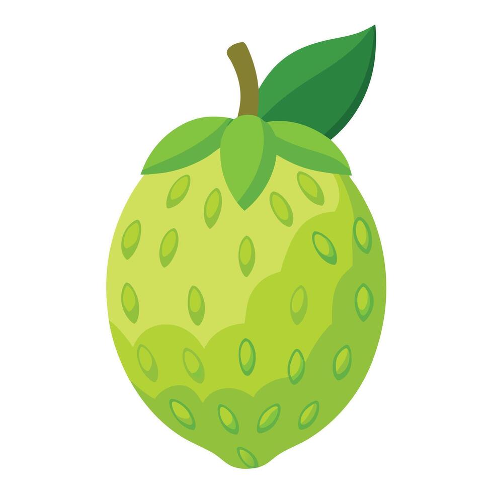 An illustration of a green fruit with leaves vector