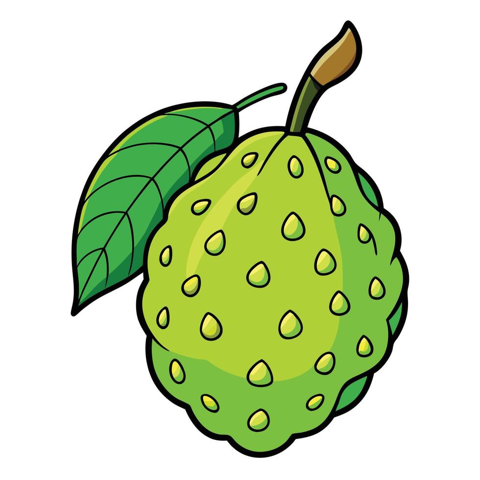 A litchi fruit with leaves and green skin vector