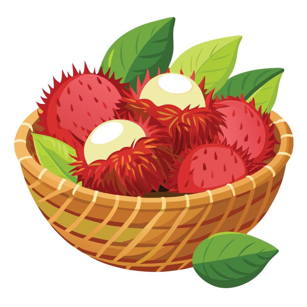 Rambutan fruit in basket illustration vector