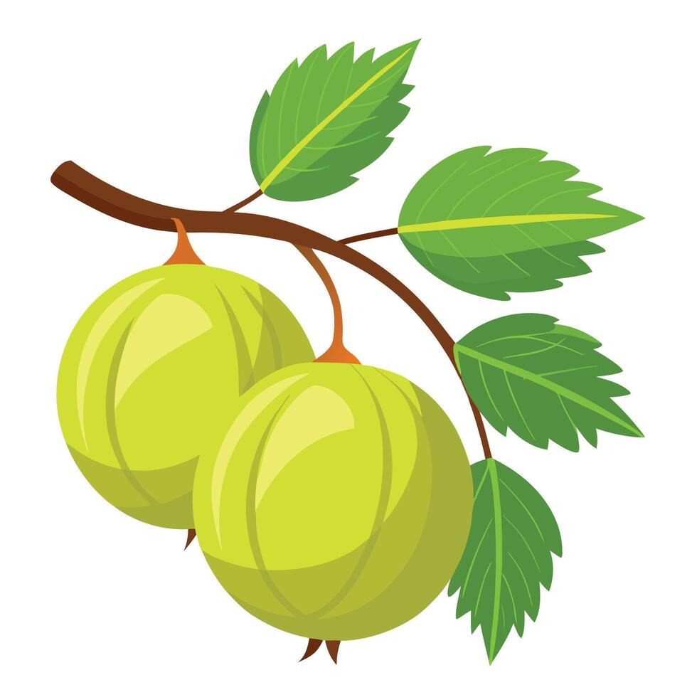 Green apple on branch with leaves illustration vector