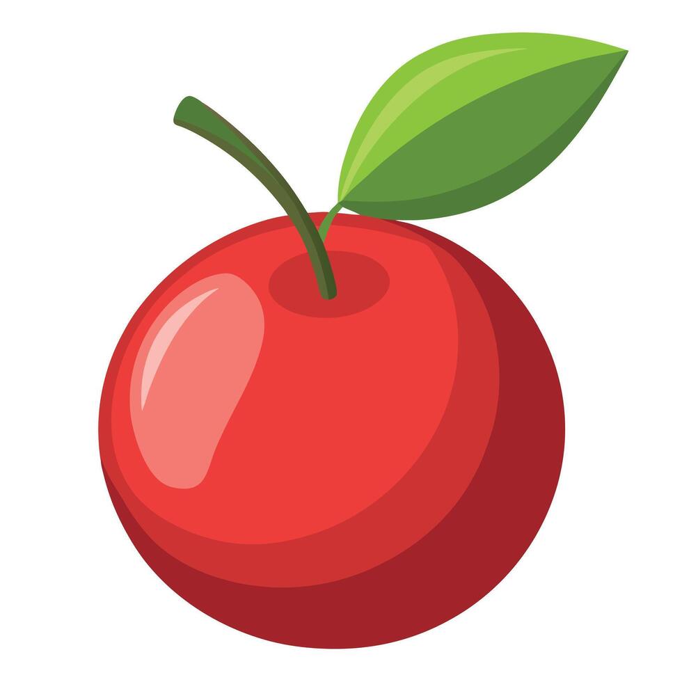 A red cherry with green leaf on a white background vector