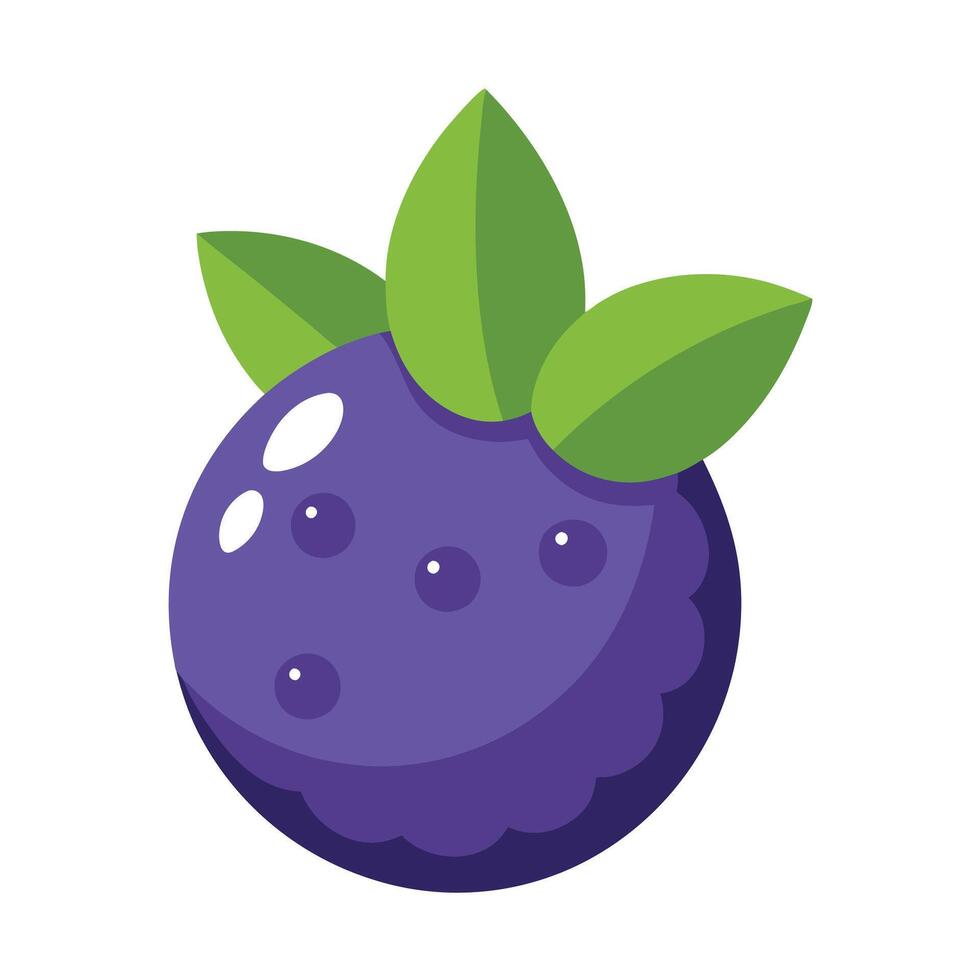 A purple fruit with leaves on it vector