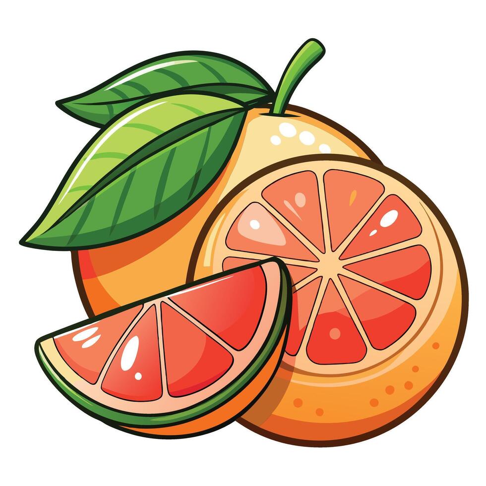 Grapefruit with green leaf and slices vector