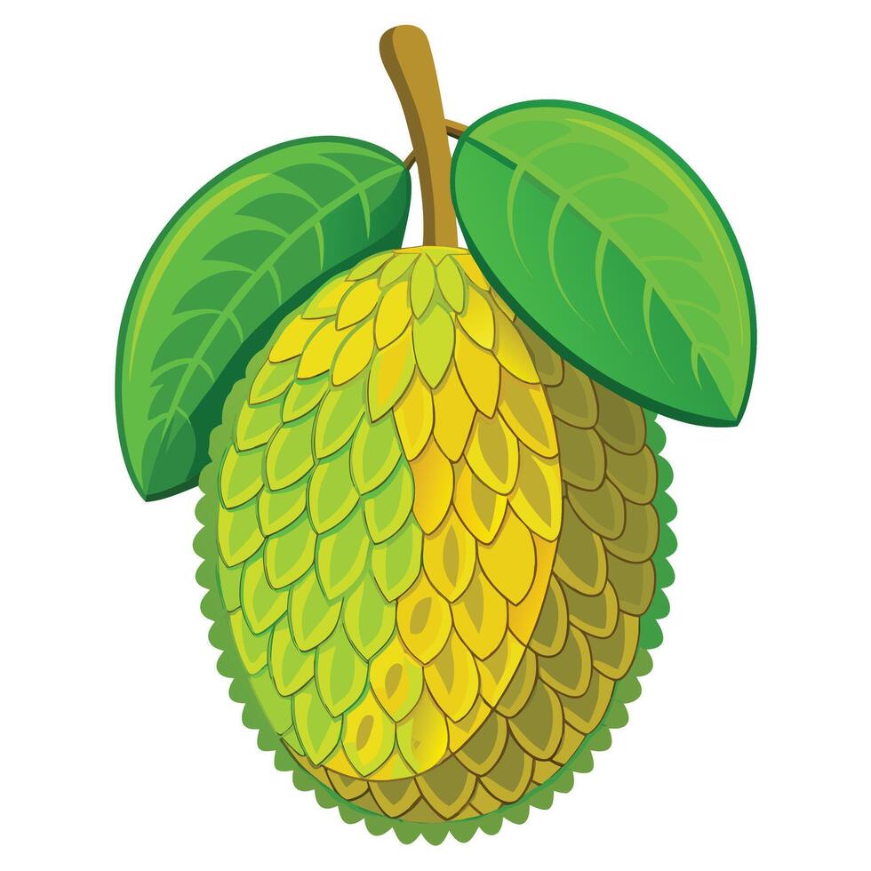 A durian fruit with leaves and a green stem vector