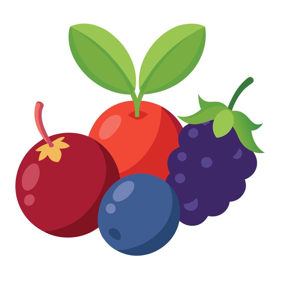 A group of berries and leaves on a white background vector