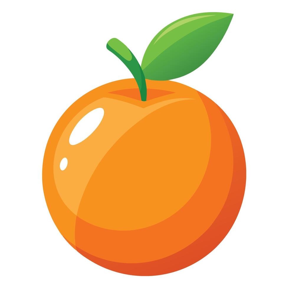 An orange is shown on a white background vector