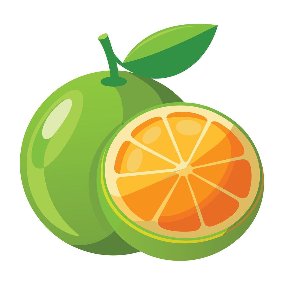 An orange and a half of an orange vector