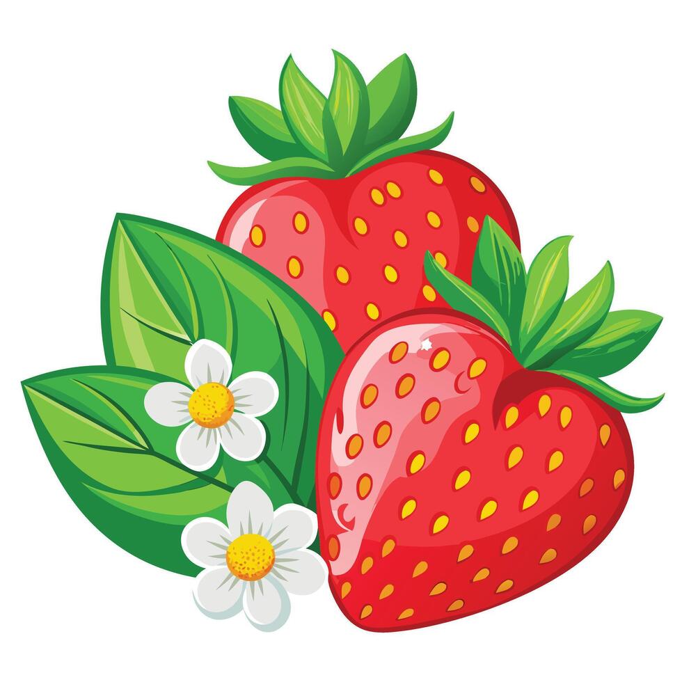 Strawberries and daisies vector