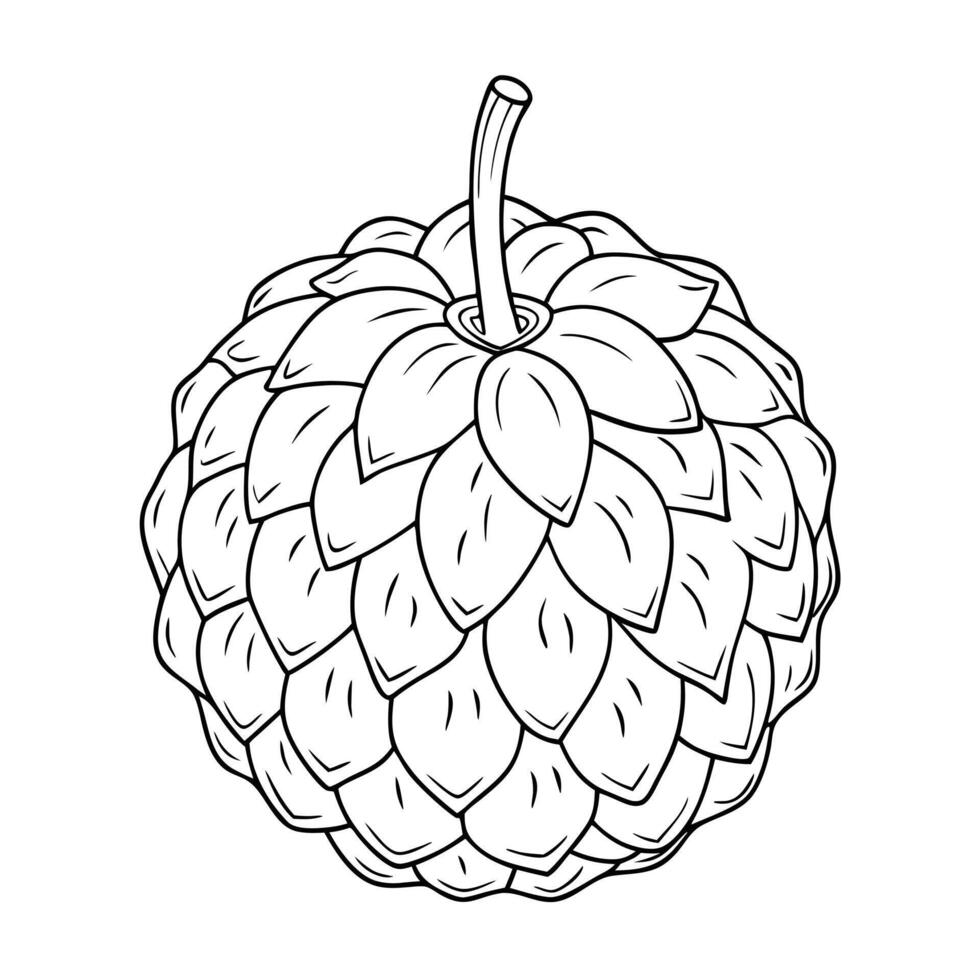 An apple with leaves on it is shown in this drawing vector